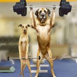 I Make My Money On The Back End