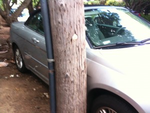 Car meet telephone pole