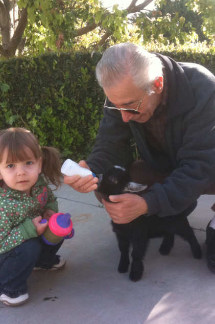 Screen shot 2011-05-17 at 10.27.30 AM