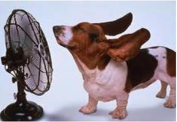 Personal training business