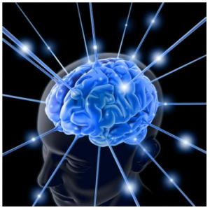 marketing a fitness business