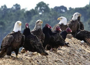 Screen Shot 2014-02-07 at 10.02.00 AM